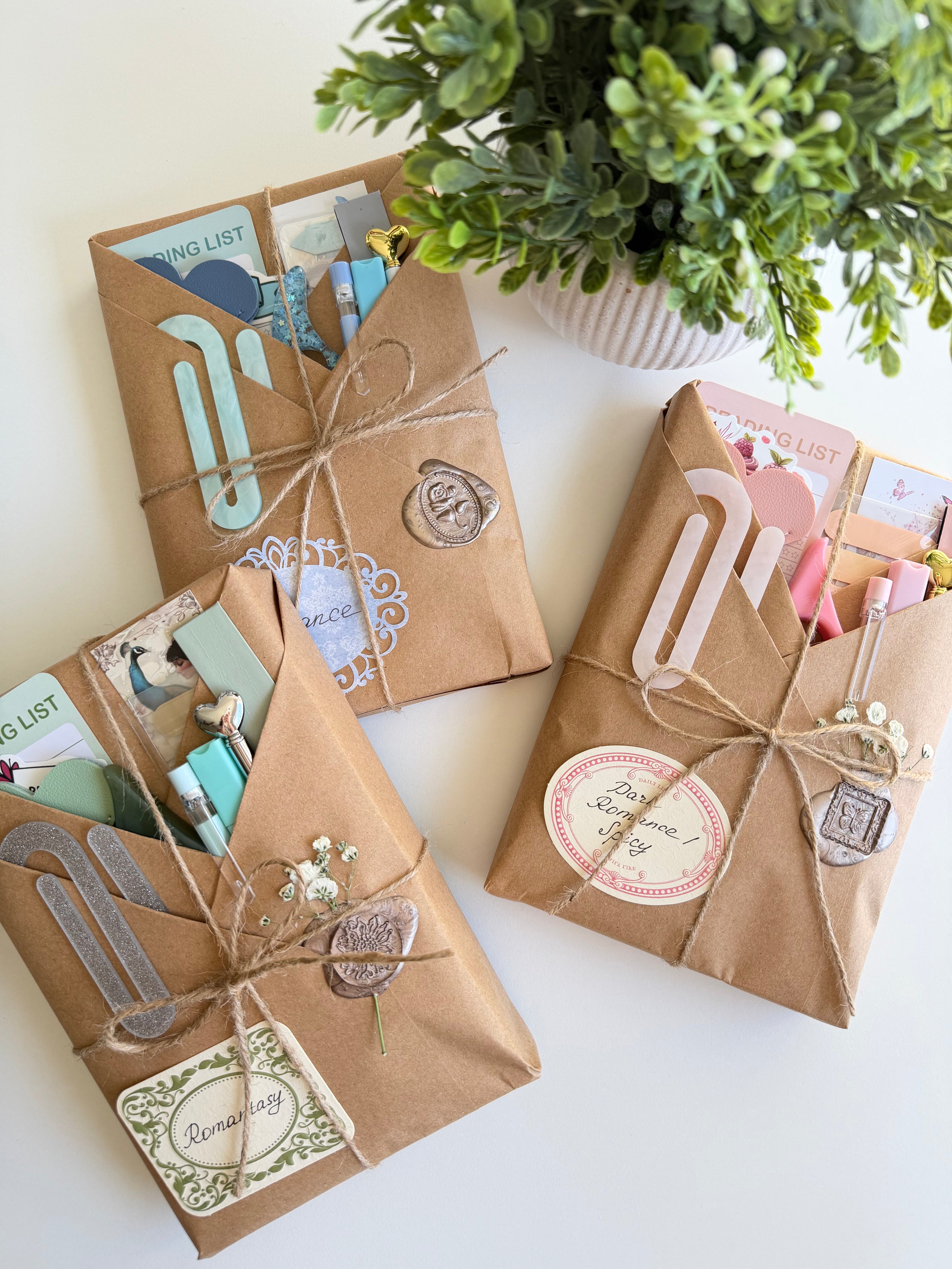 Blind Date with a Book | Mystery Book Box Gift for Book Lovers (Please Read Description)